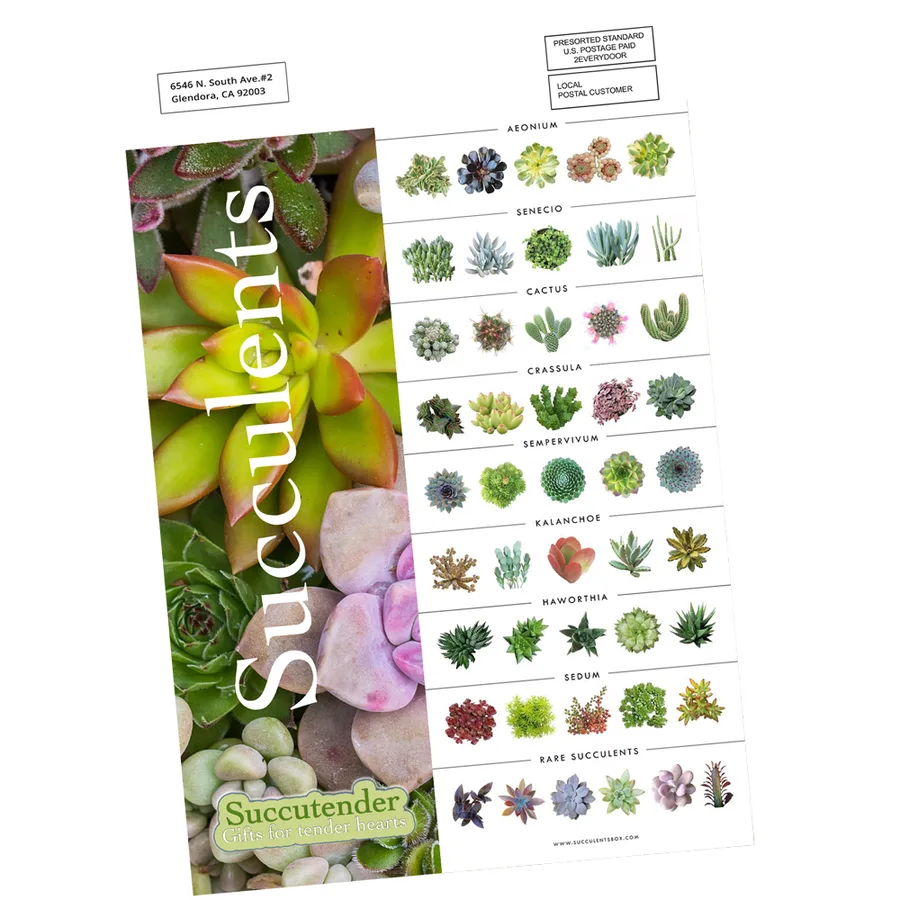 Every Door Direct Mail